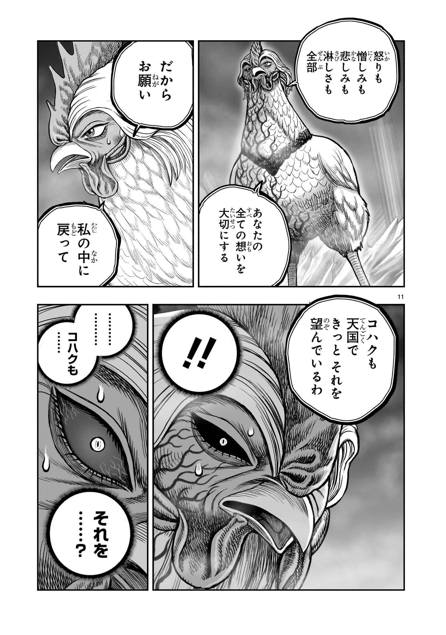 Niwatori Fighter Chapter 61.1 11ページ