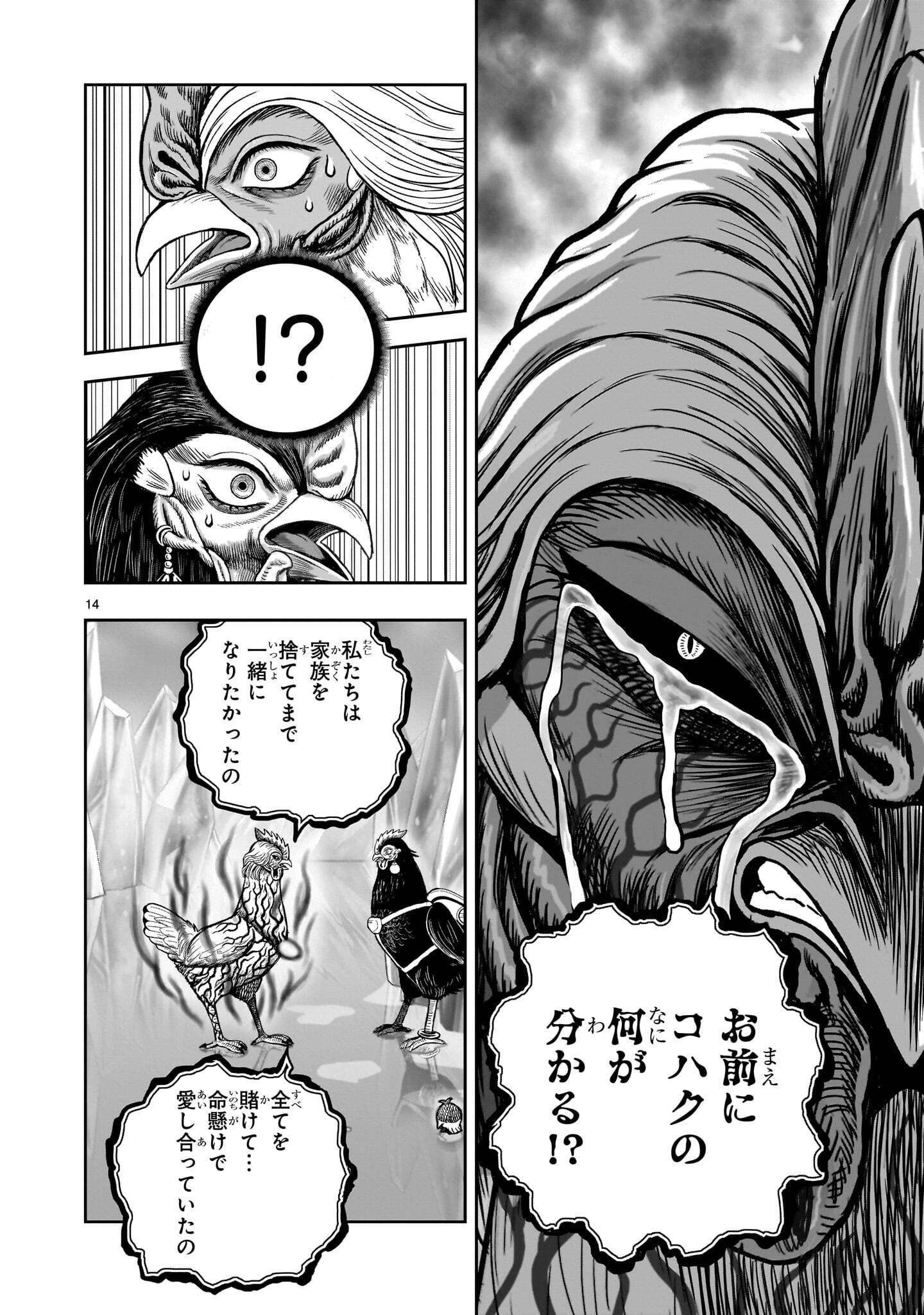 Niwatori Fighter Chapter 61.1 14ページ