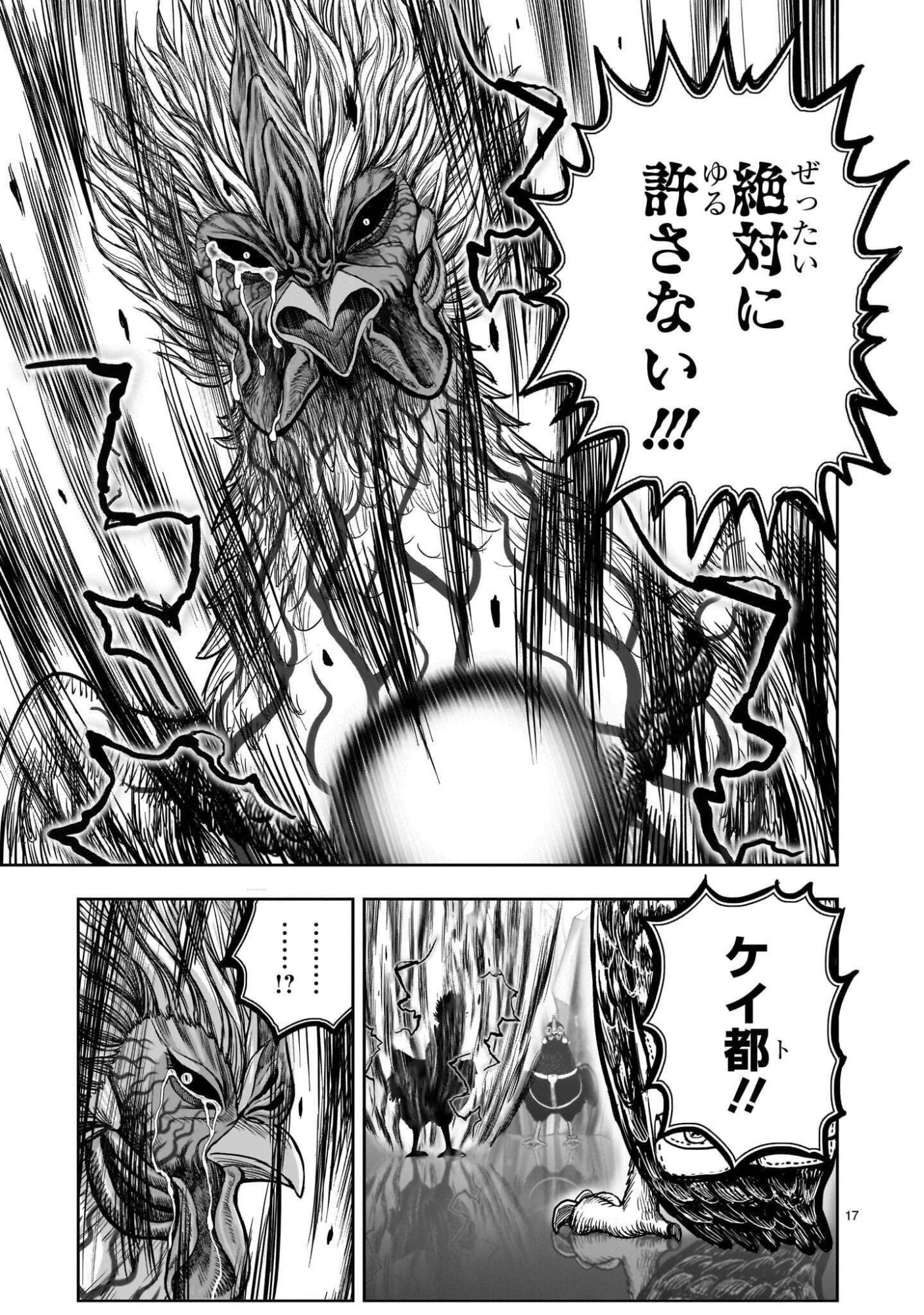 Niwatori Fighter Chapter 61.1 17ページ