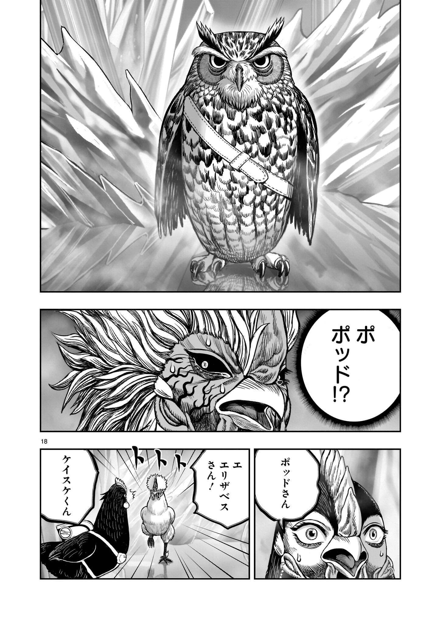 Niwatori Fighter Chapter 61.1 18ページ