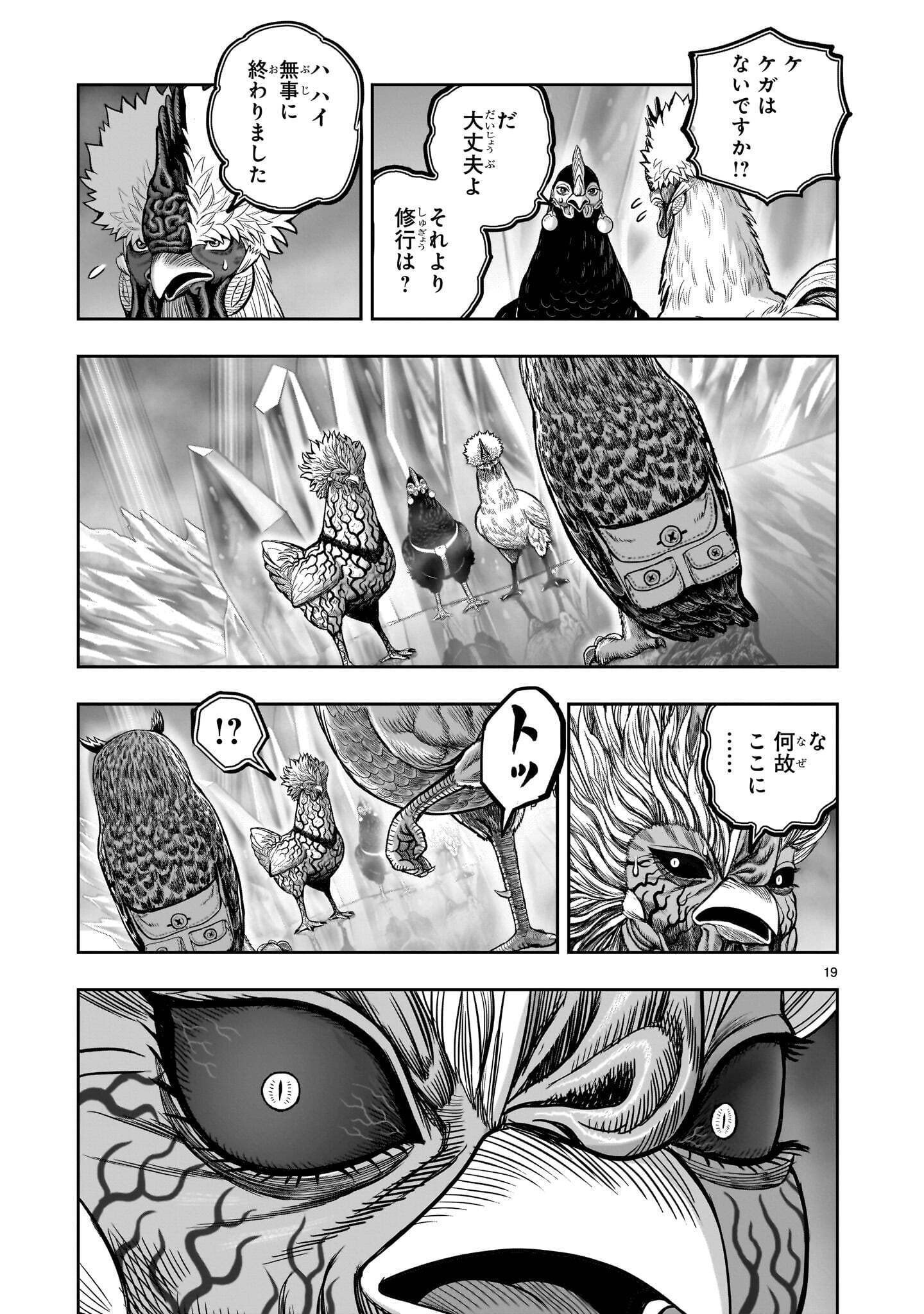 Niwatori Fighter Chapter 61.1 19ページ