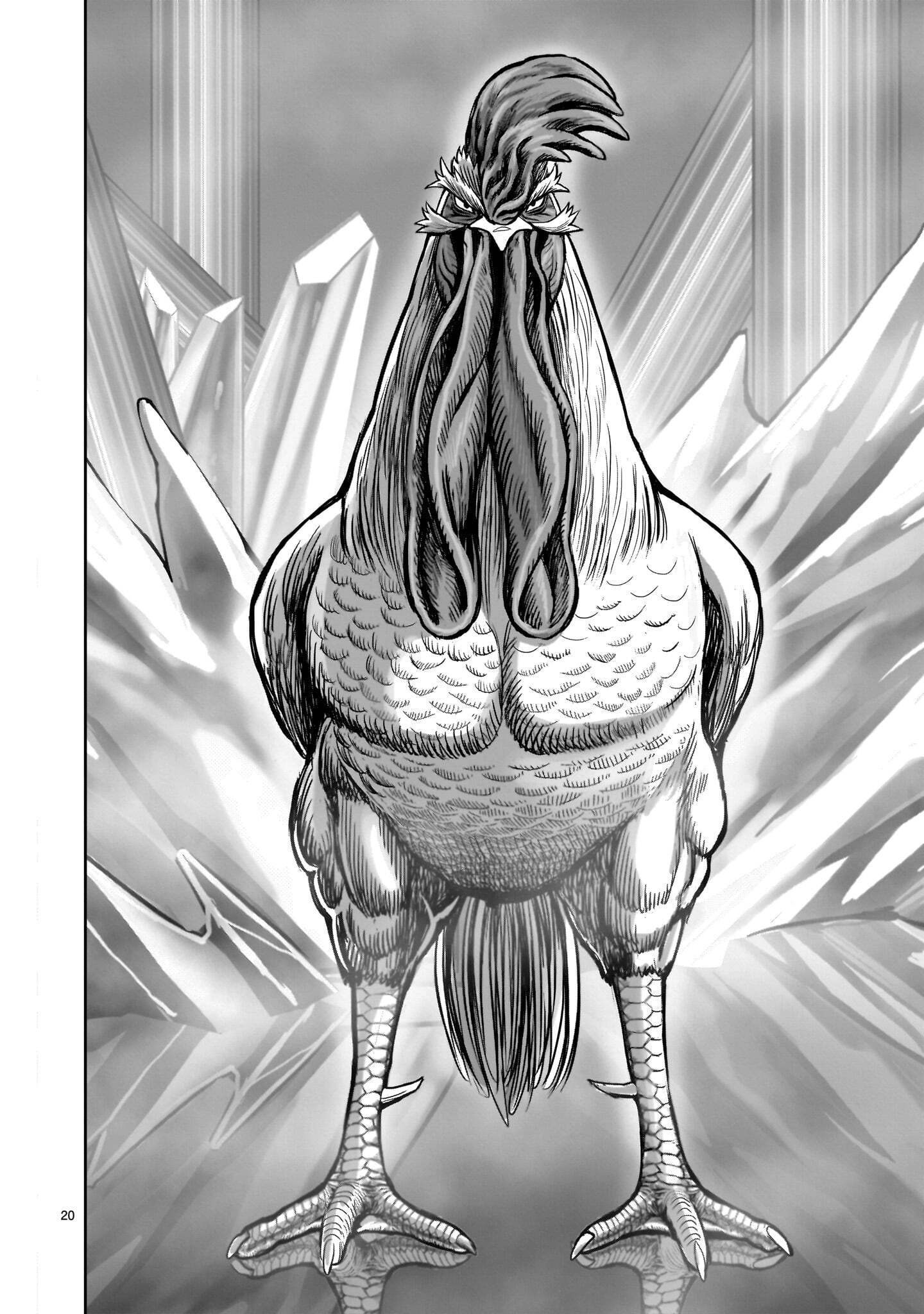 Niwatori Fighter Chapter 61.1 20ページ