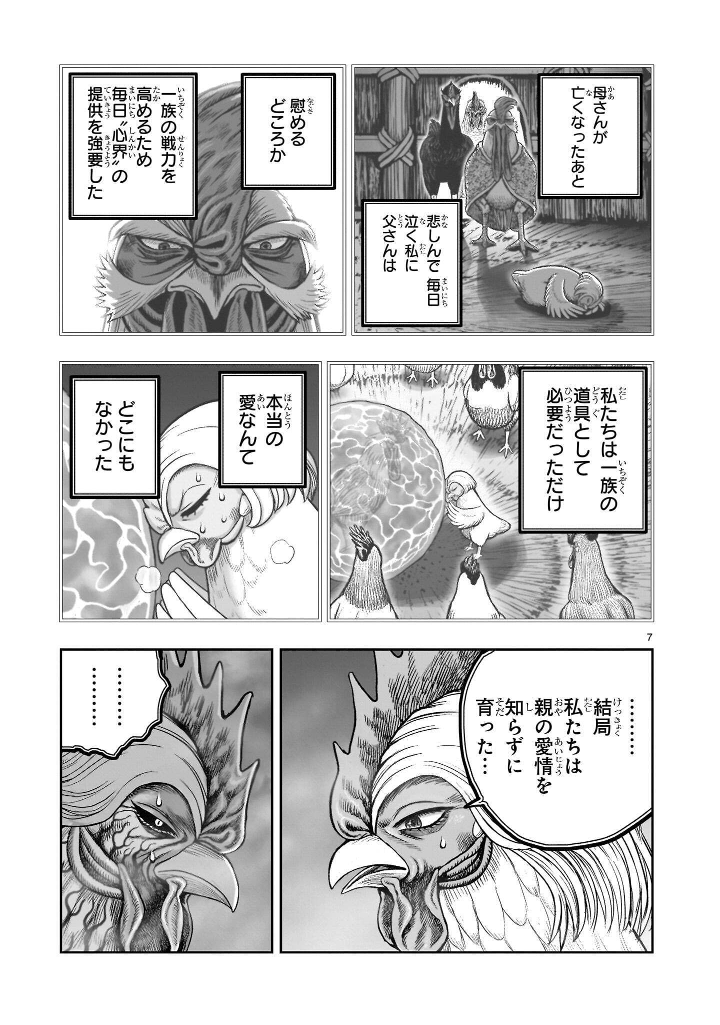 Niwatori Fighter Chapter 61.1 7ページ