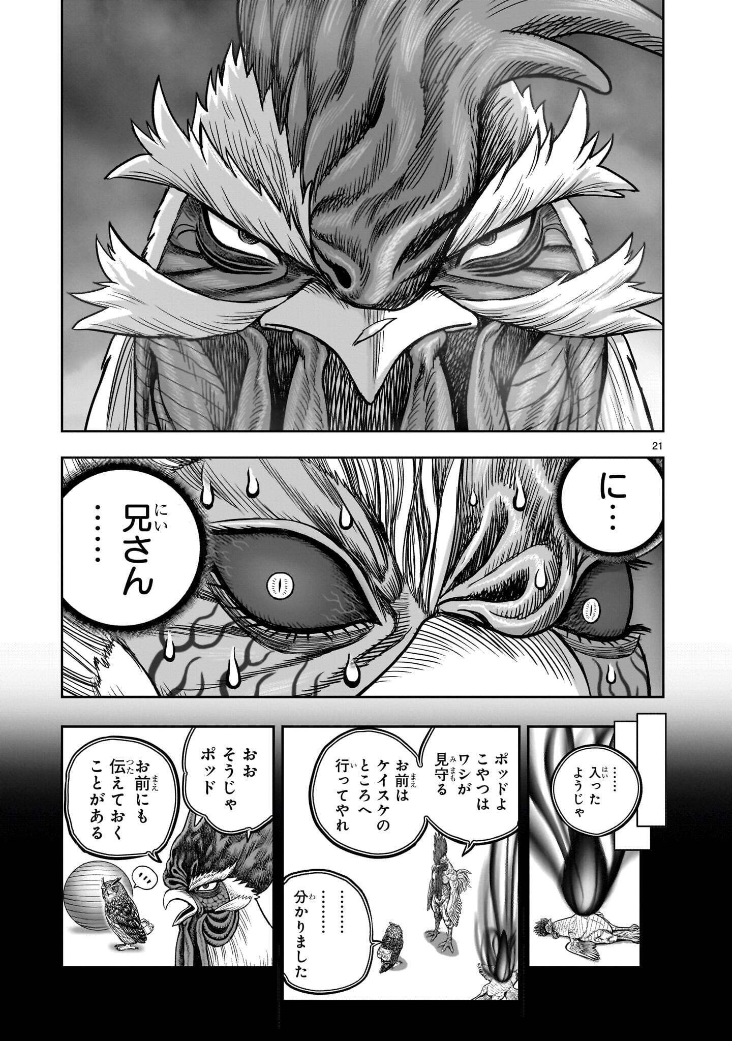 Niwatori Fighter Chapter 61.2 1ページ