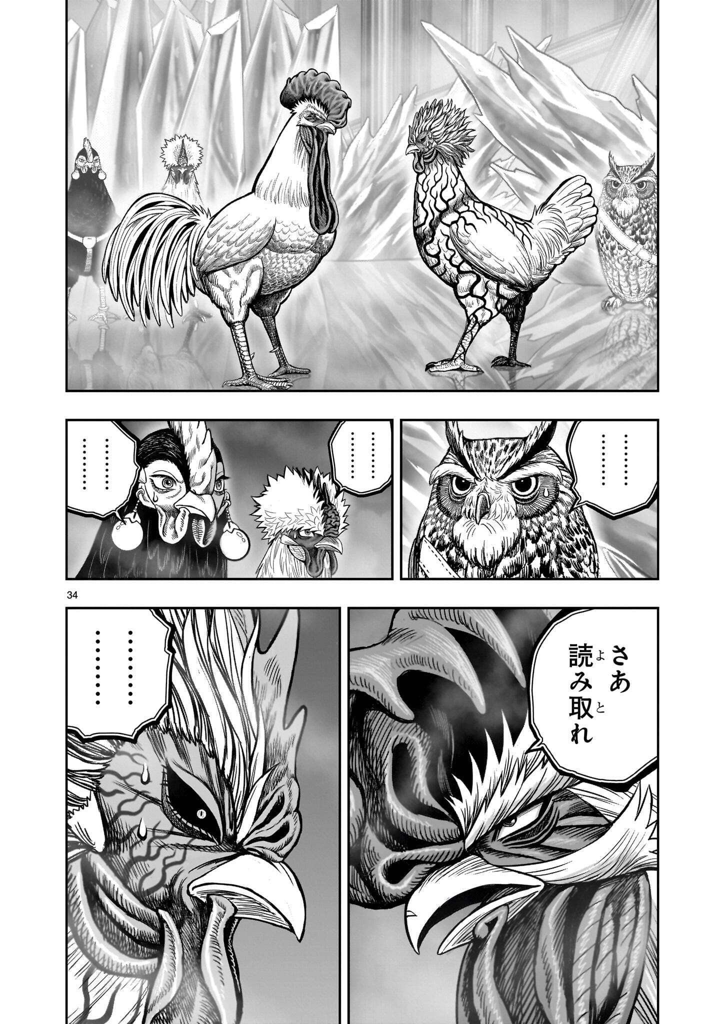 Niwatori Fighter Chapter 61.2 14ページ