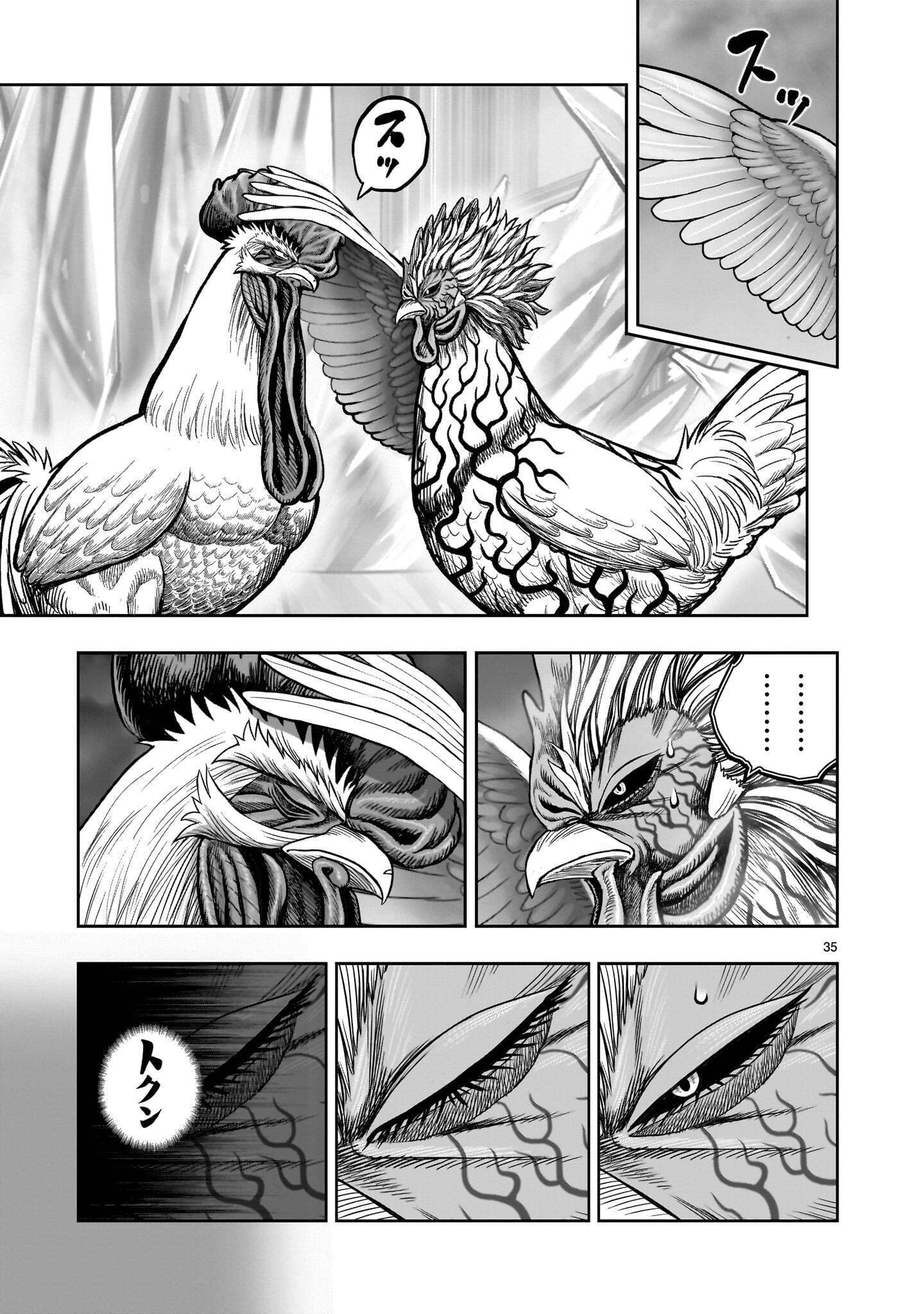 Niwatori Fighter Chapter 61.2 15ページ