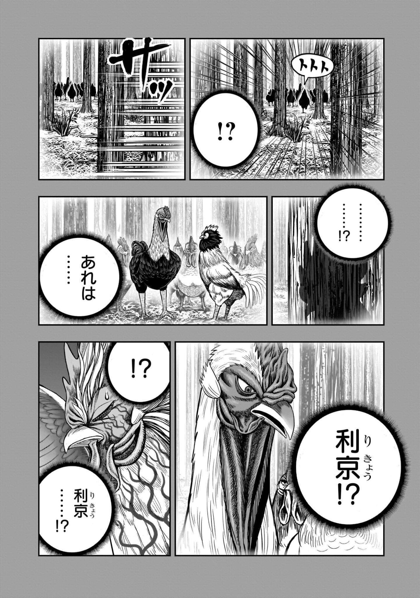 Niwatori Fighter Chapter 61.2 18ページ