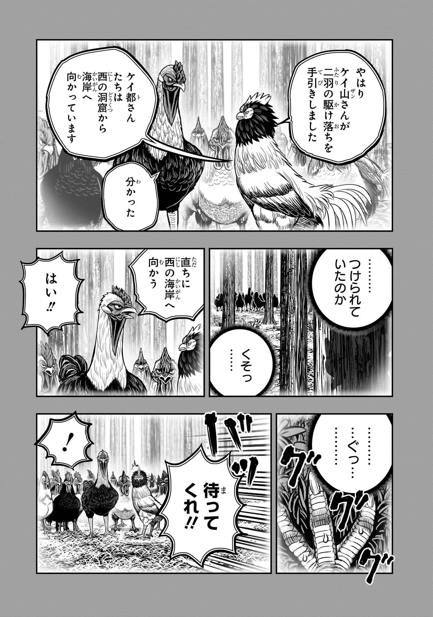 Niwatori Fighter Chapter 61.2 19ページ