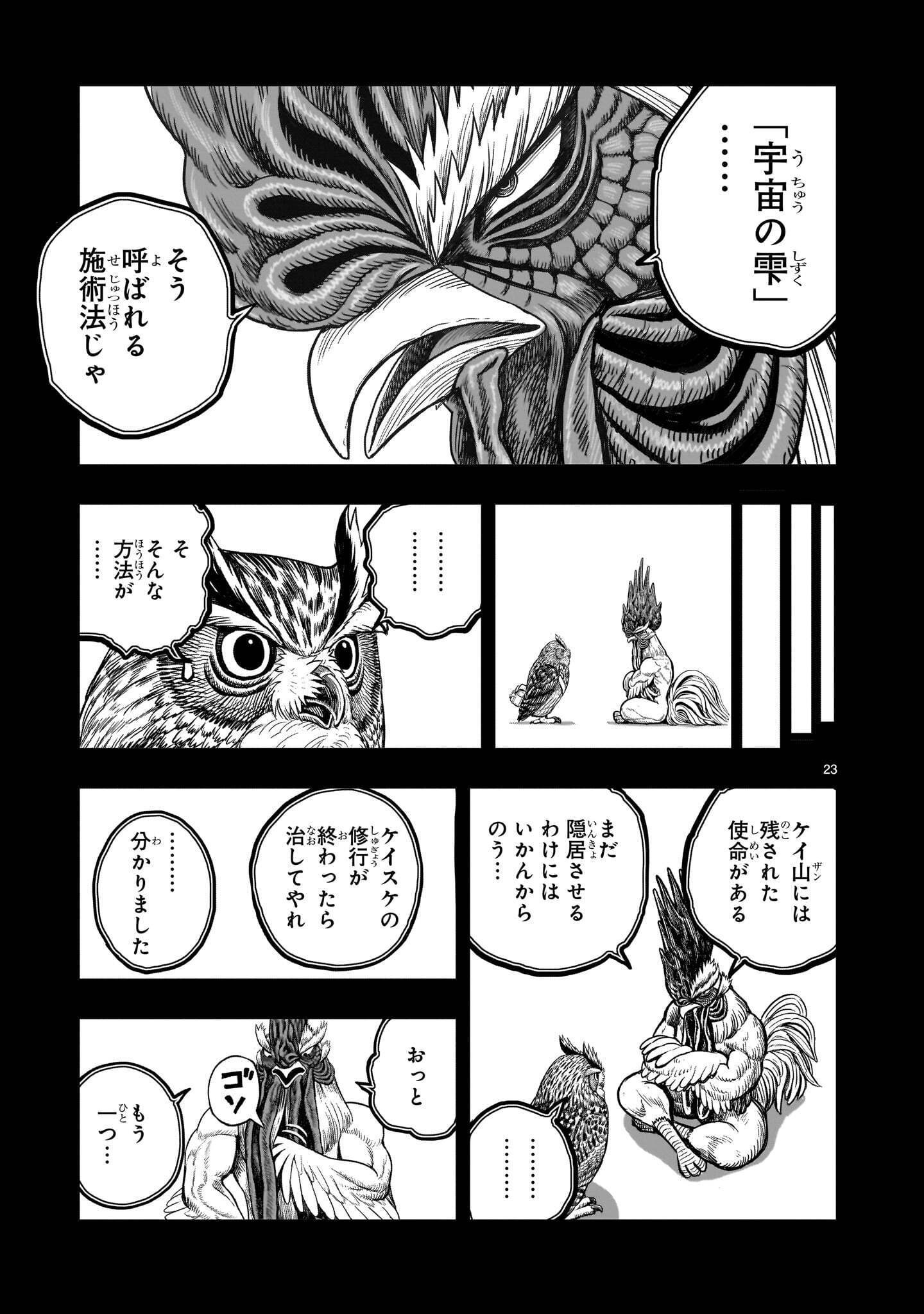 Niwatori Fighter Chapter 61.2 3ページ