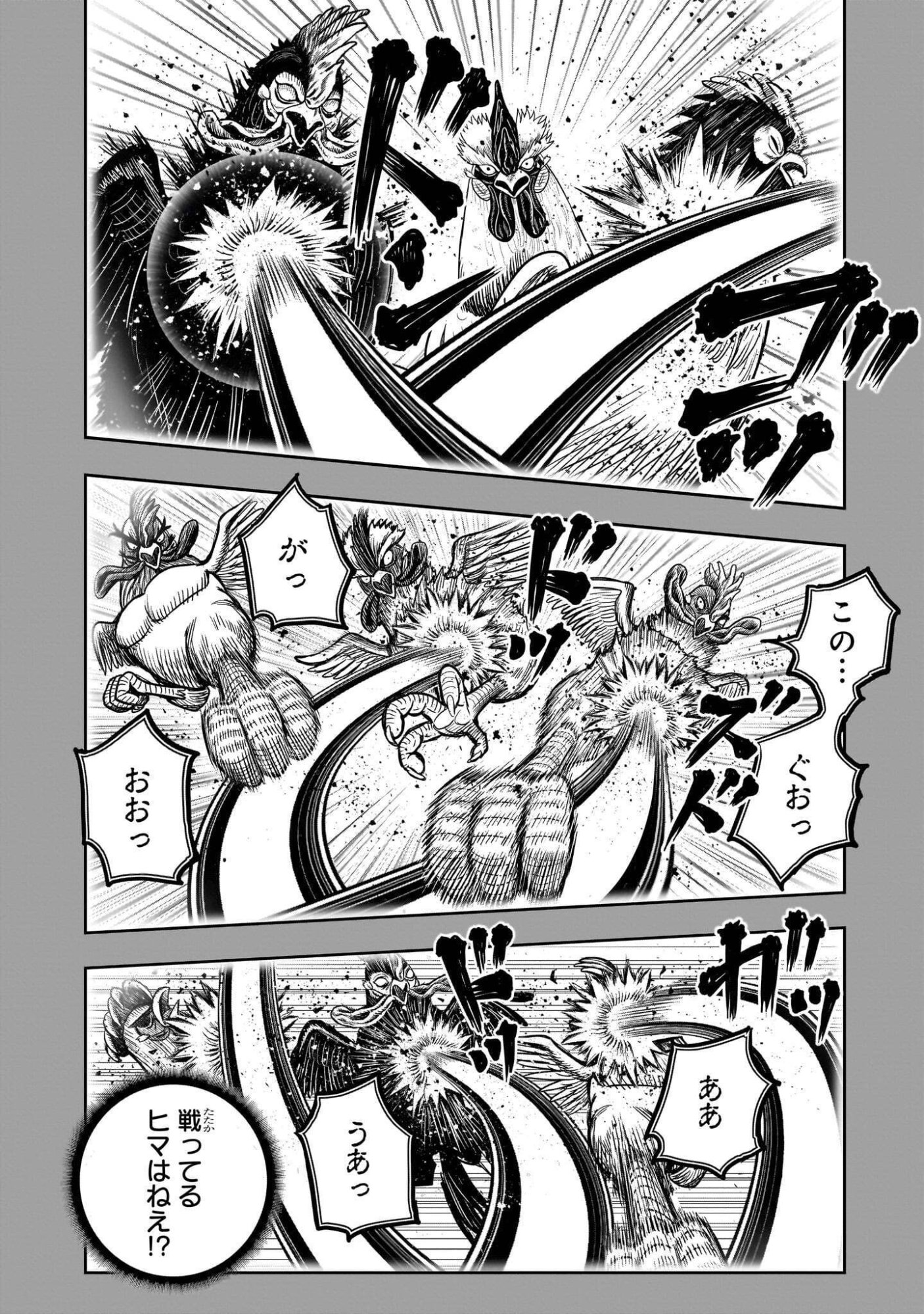 Niwatori Fighter Chapter 61.2 22ページ