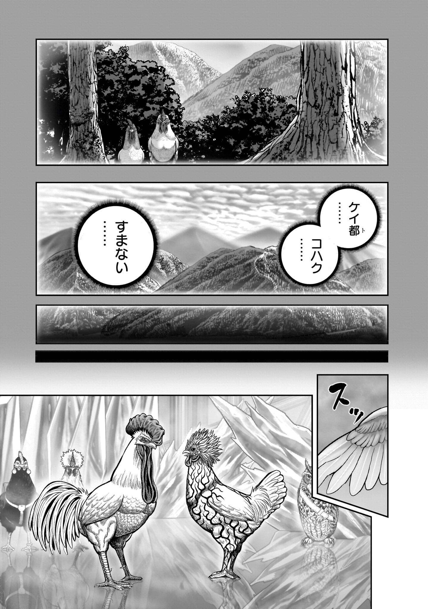 Niwatori Fighter Chapter 61.2 27ページ