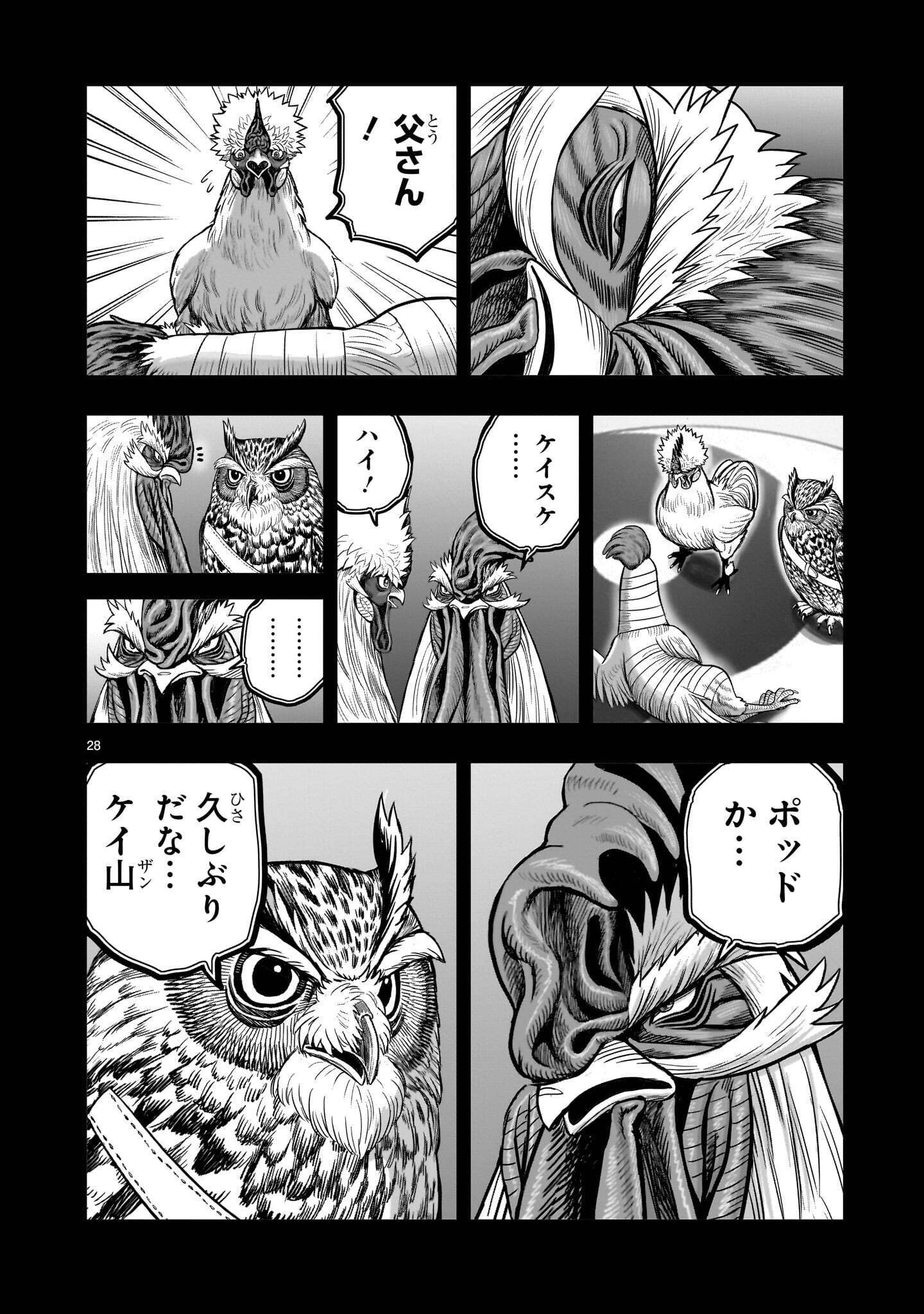 Niwatori Fighter Chapter 61.2 8ページ
