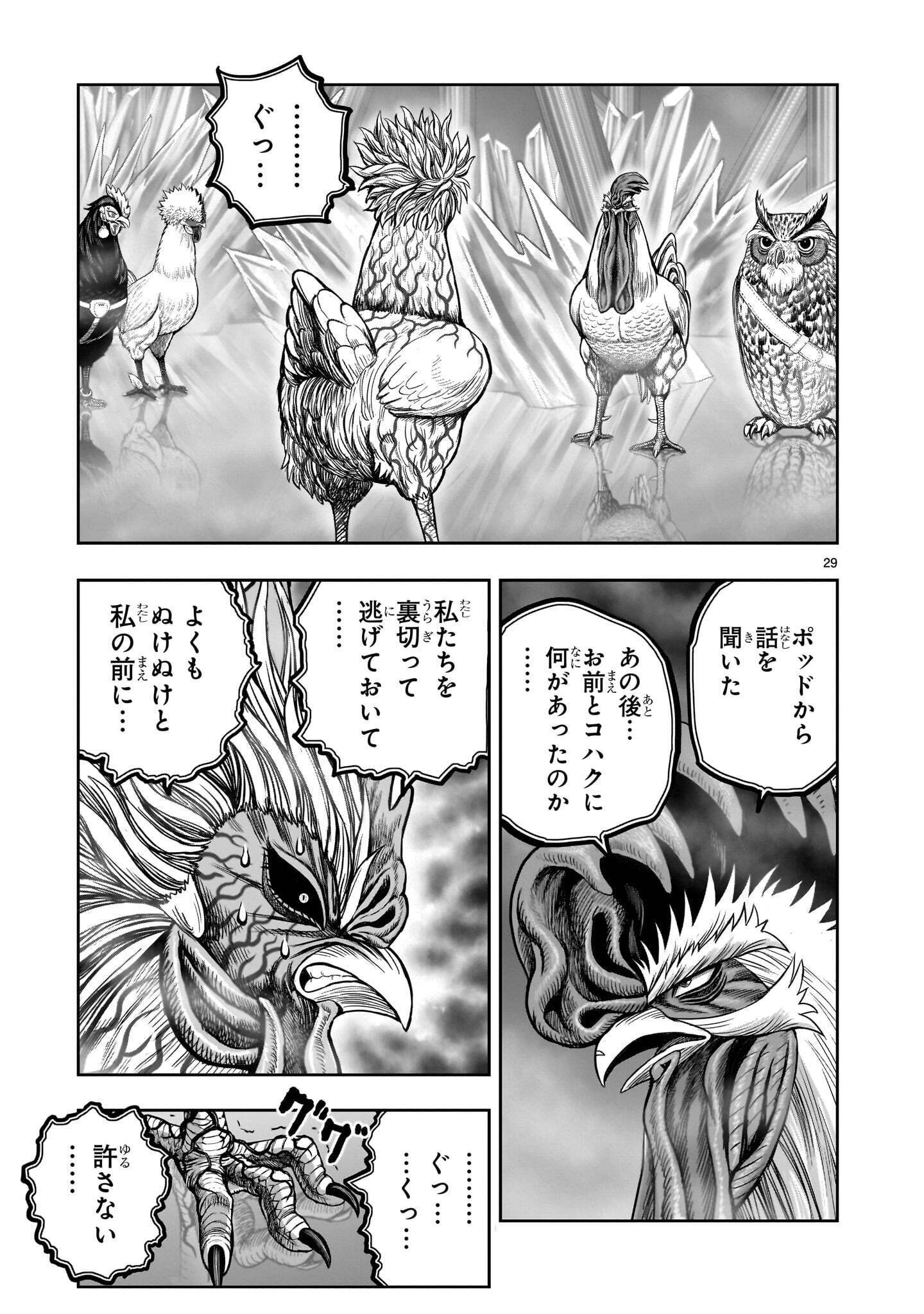 Niwatori Fighter Chapter 61.2 9ページ