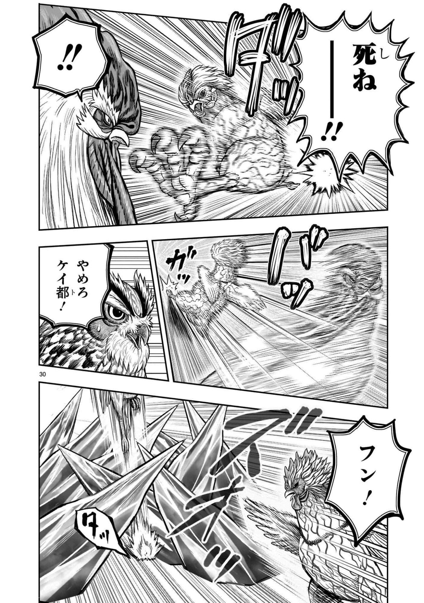Niwatori Fighter Chapter 61.2 10ページ