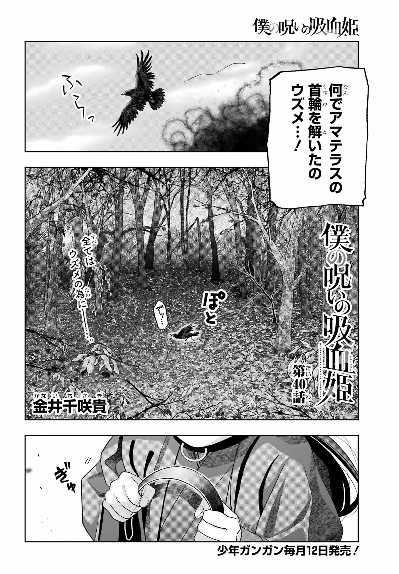 Boku no Noroi no Kyuuketsukihime Chapter 40 4ページ