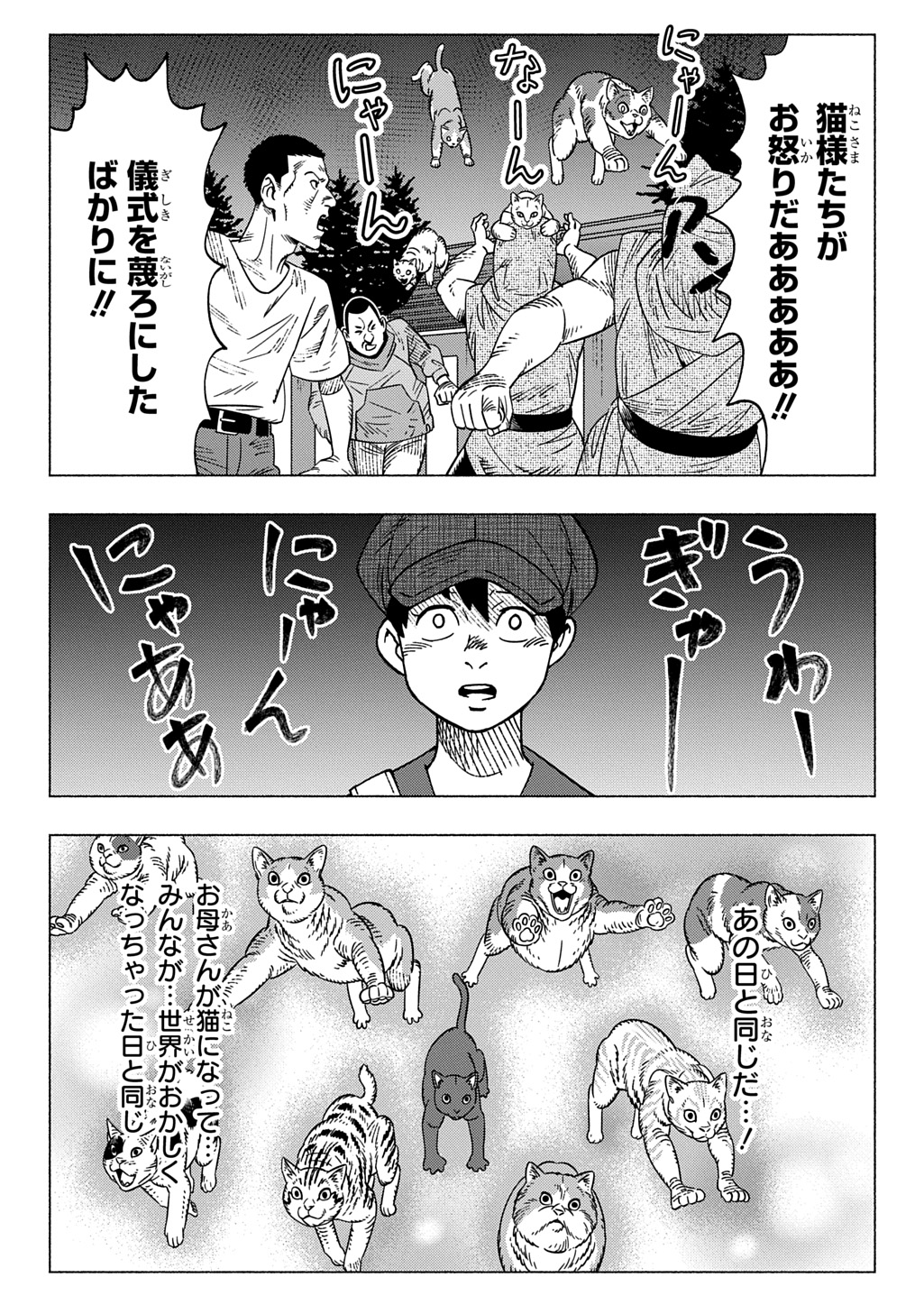 Nyaight of the Living Cat Chapter 27 21ページ