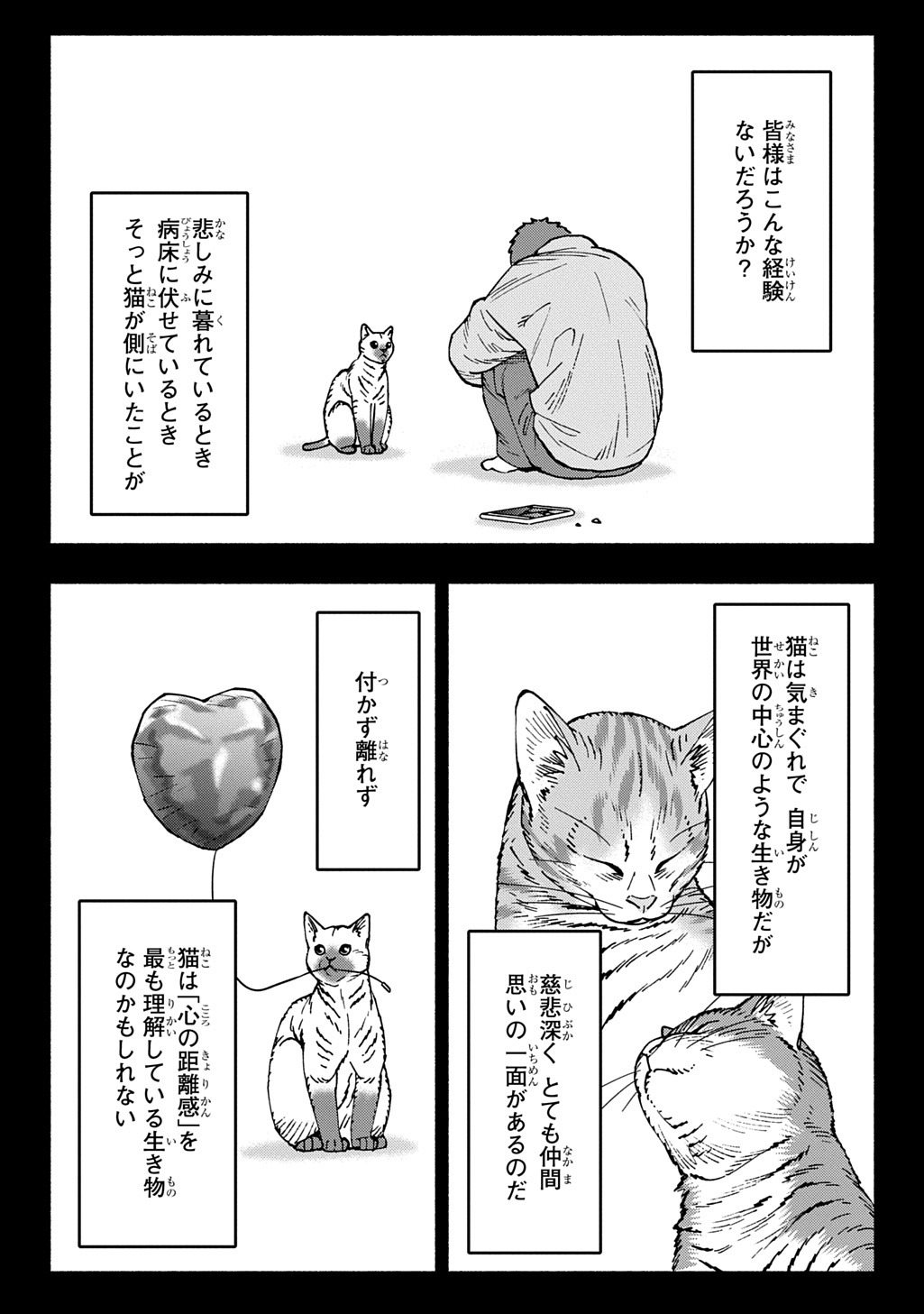Nyaight of the Living Cat Chapter 28 14ページ