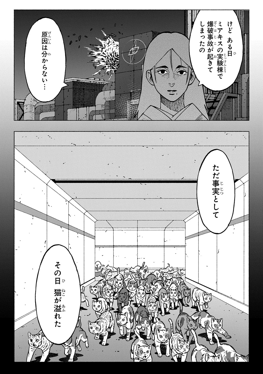 Nyaight of the Living Cat Chapter 29 11ページ