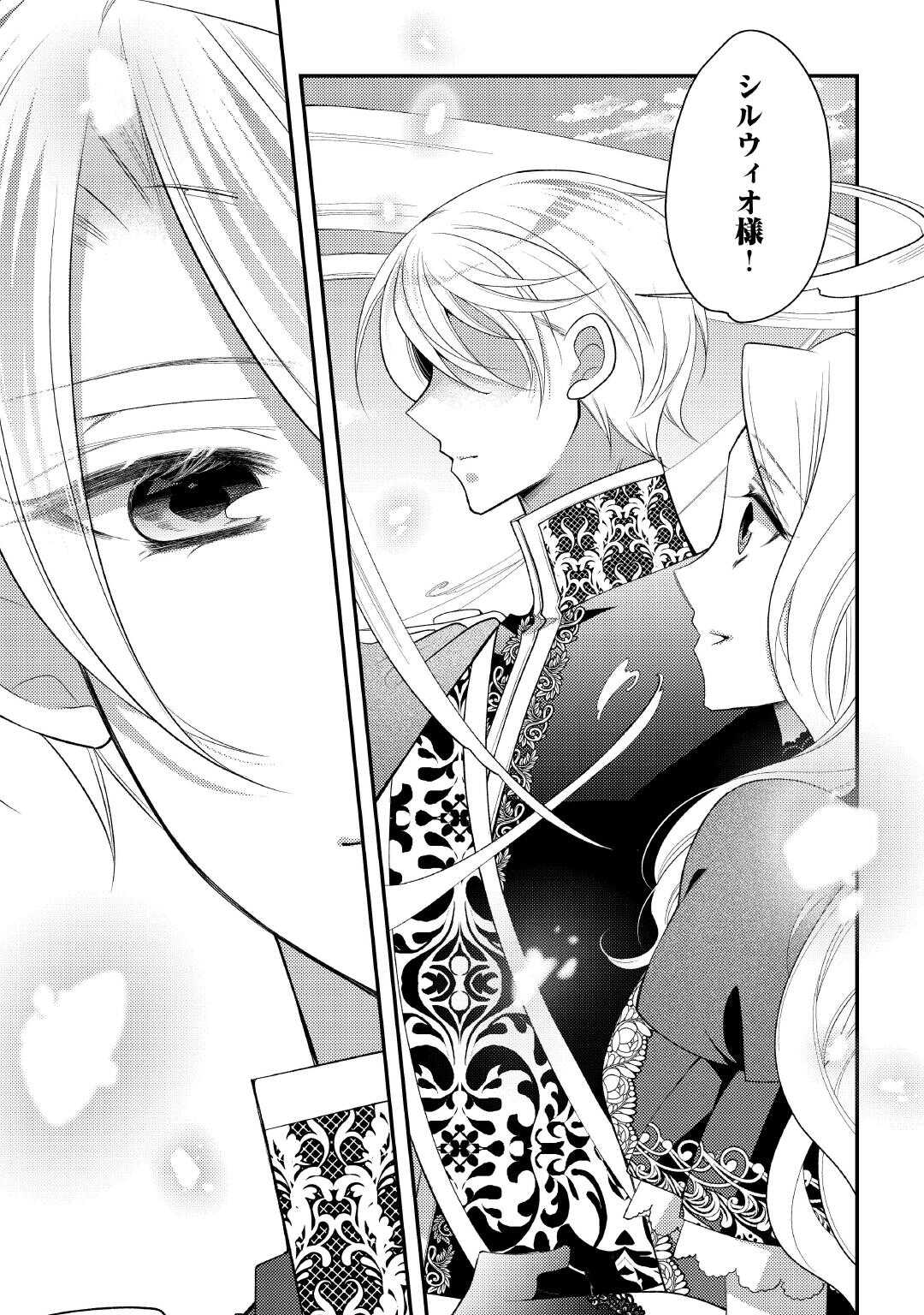 Shinda Ouhi wa Nidome no Jinsei wo Tanoshimimasu Chapter 16 25ページ