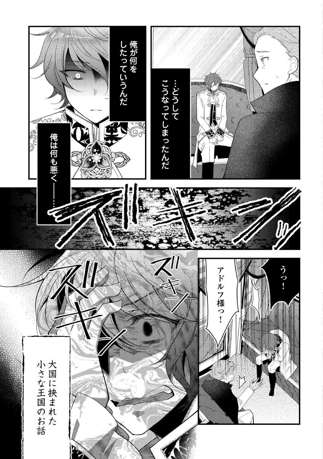 Shinda Ouhi wa Nidome no Jinsei wo Tanoshimimasu Chapter 16 33ページ