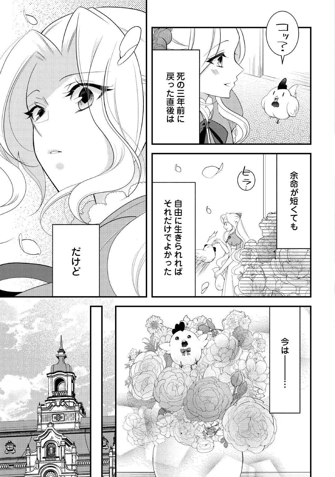 Shinda Ouhi wa Nidome no Jinsei wo Tanoshimimasu Chapter 17 3ページ