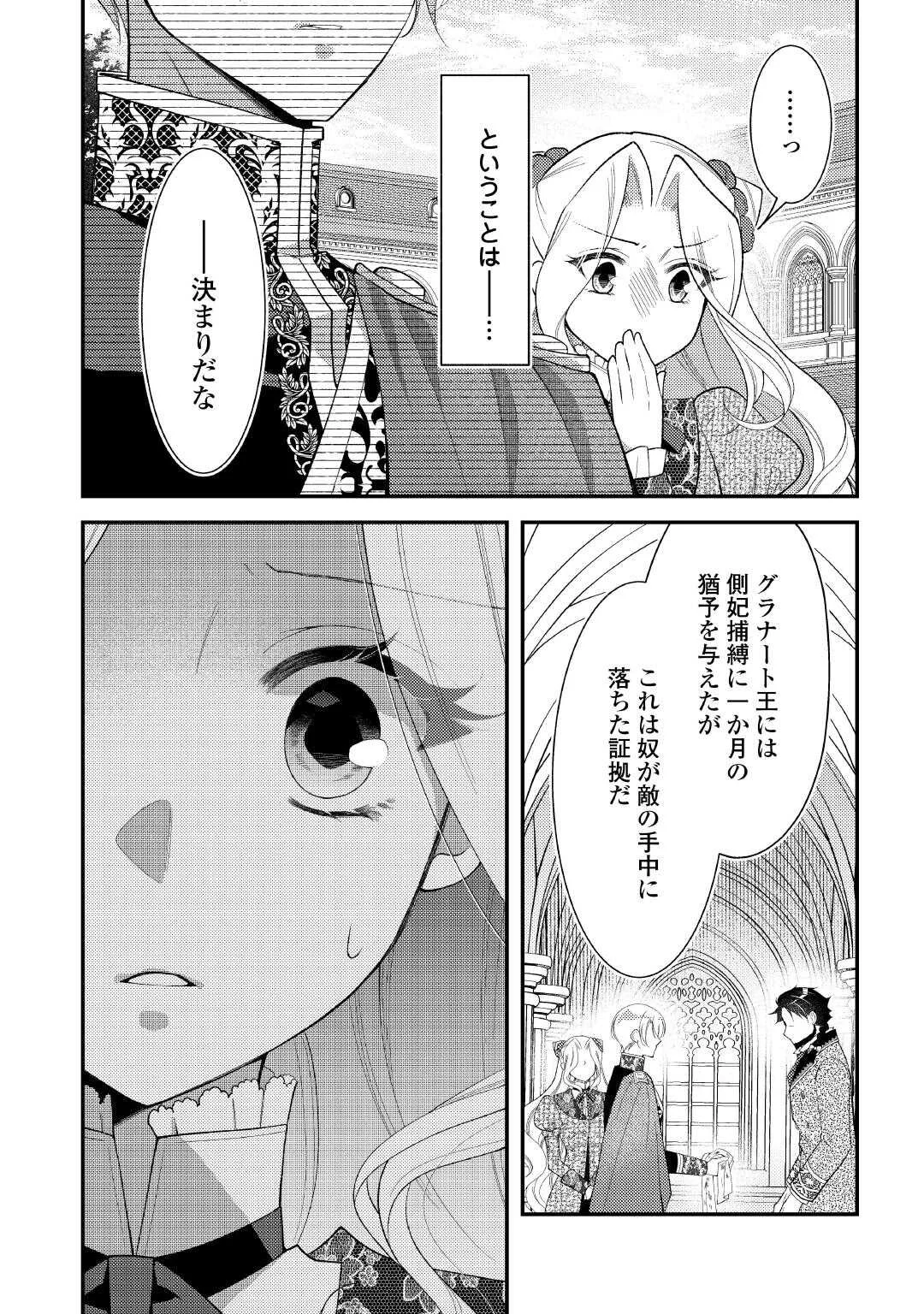 Shinda Ouhi wa Nidome no Jinsei wo Tanoshimimasu Chapter 18 24ページ