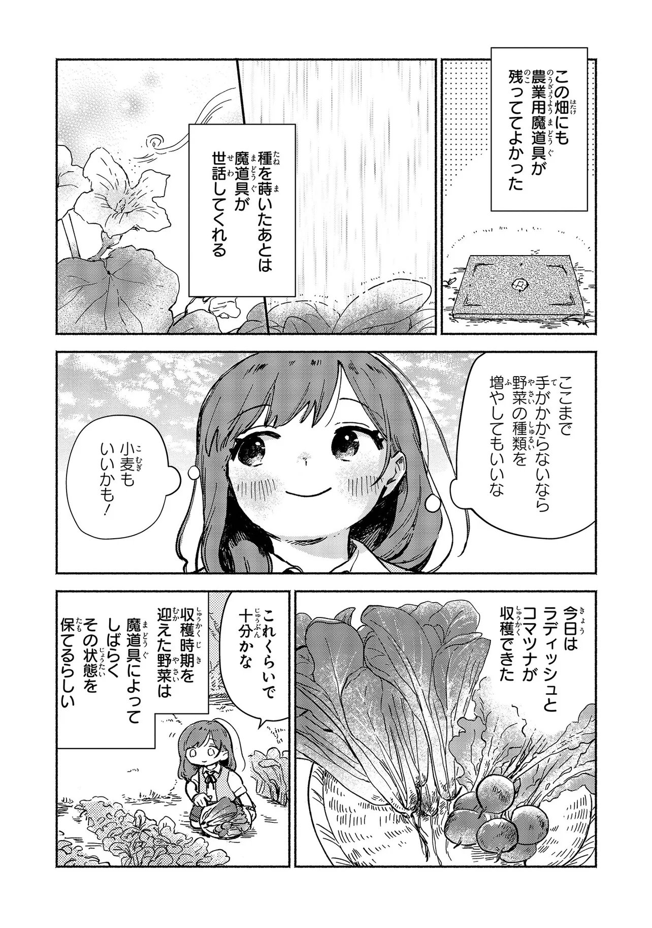 Wasurerare Reijou wa Kimana ni Kurashitai Chapter 4.1 3ページ