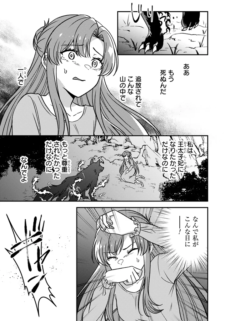 Yumemi no Koushaku Reijou wa Konyaku Haki wo Goshomou desu Chapter 9.2 12ページ