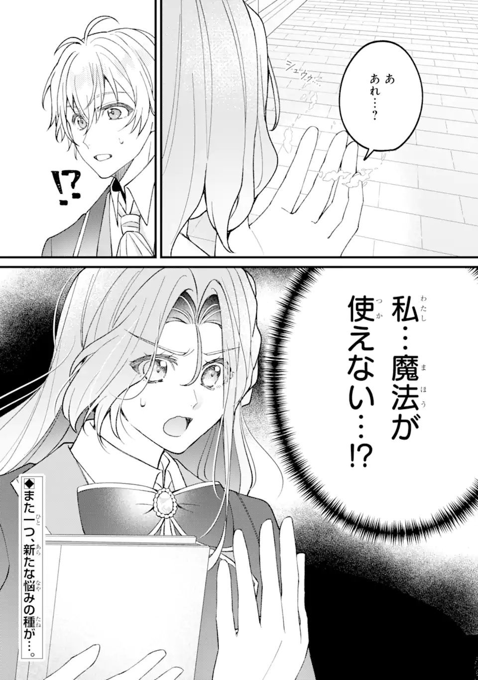 Yadoya no Kanban Musume, Koushaku Reijou to Irekawaru Chapter 5.3 11ページ