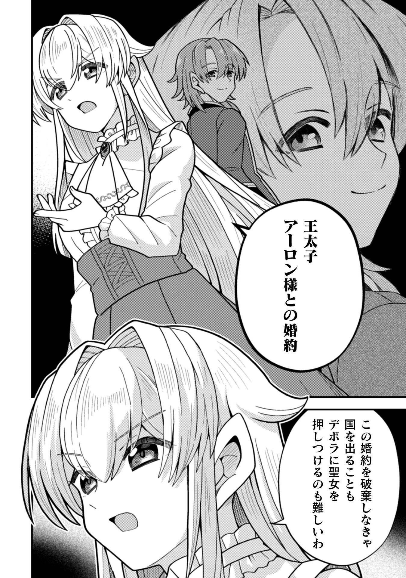 Fukushuu Hime ni wa Naritakunai no de Subete Akuyaku ni Oshitsukemasu Chapter 2 17ページ