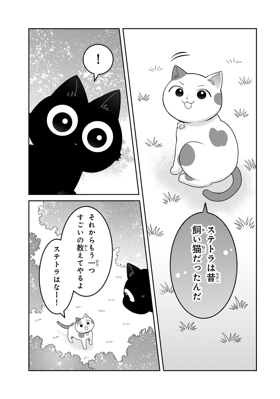 Rudolf to Ippaiattena Chapter 6 17ページ