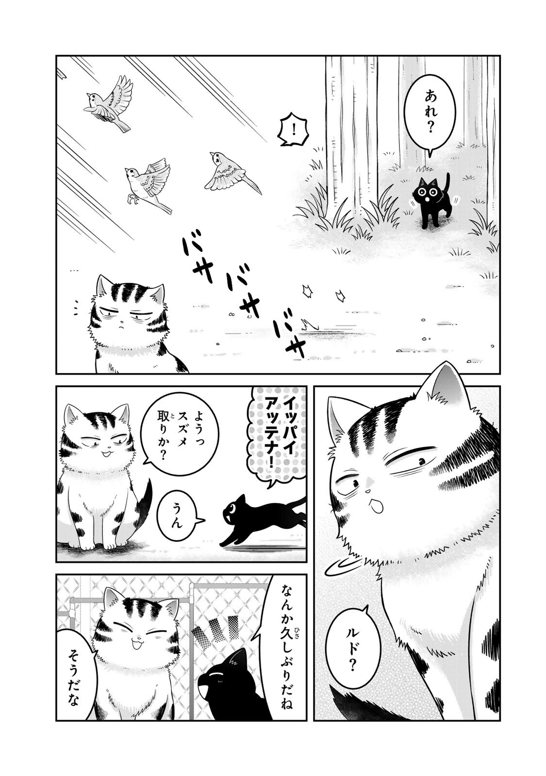 Rudolf to Ippaiattena Chapter 7 5ページ