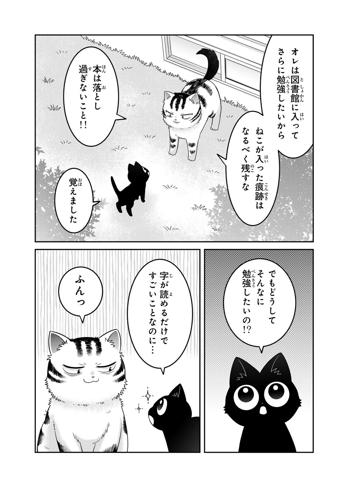 Rudolf to Ippaiattena Chapter 8 17ページ