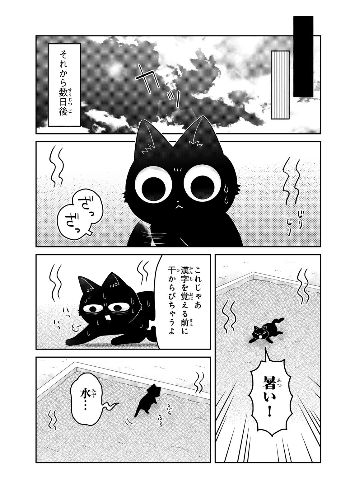Rudolf to Ippaiattena Chapter 11 9ページ
