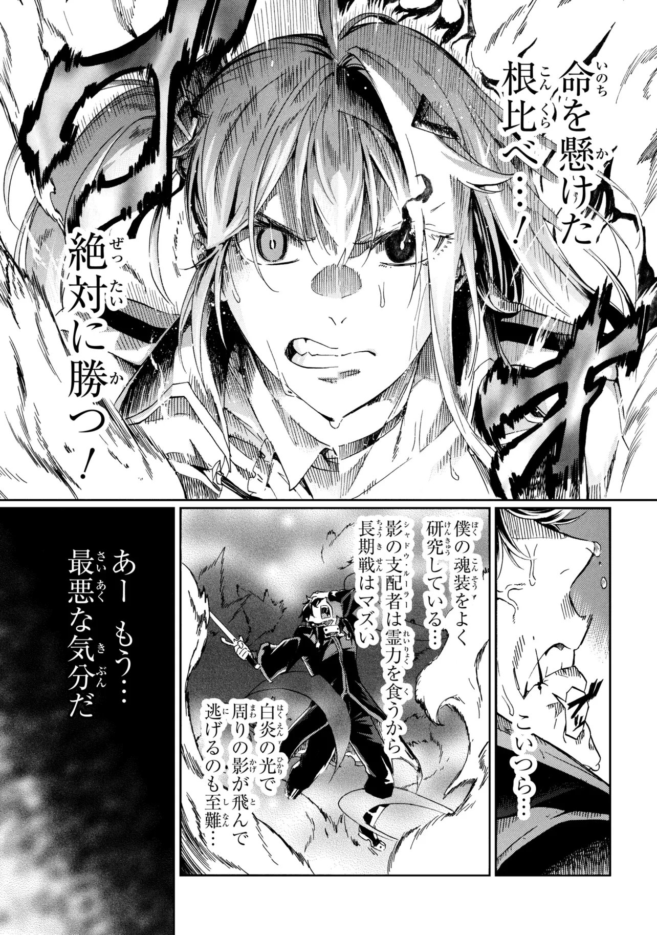 Ichioku-nen Button wo Renda shita Ore wa, Kizuitara Saikyou ni Natteita: Rakudai Kenshi no Gakuin Musou Chapter 47.2 13ページ
