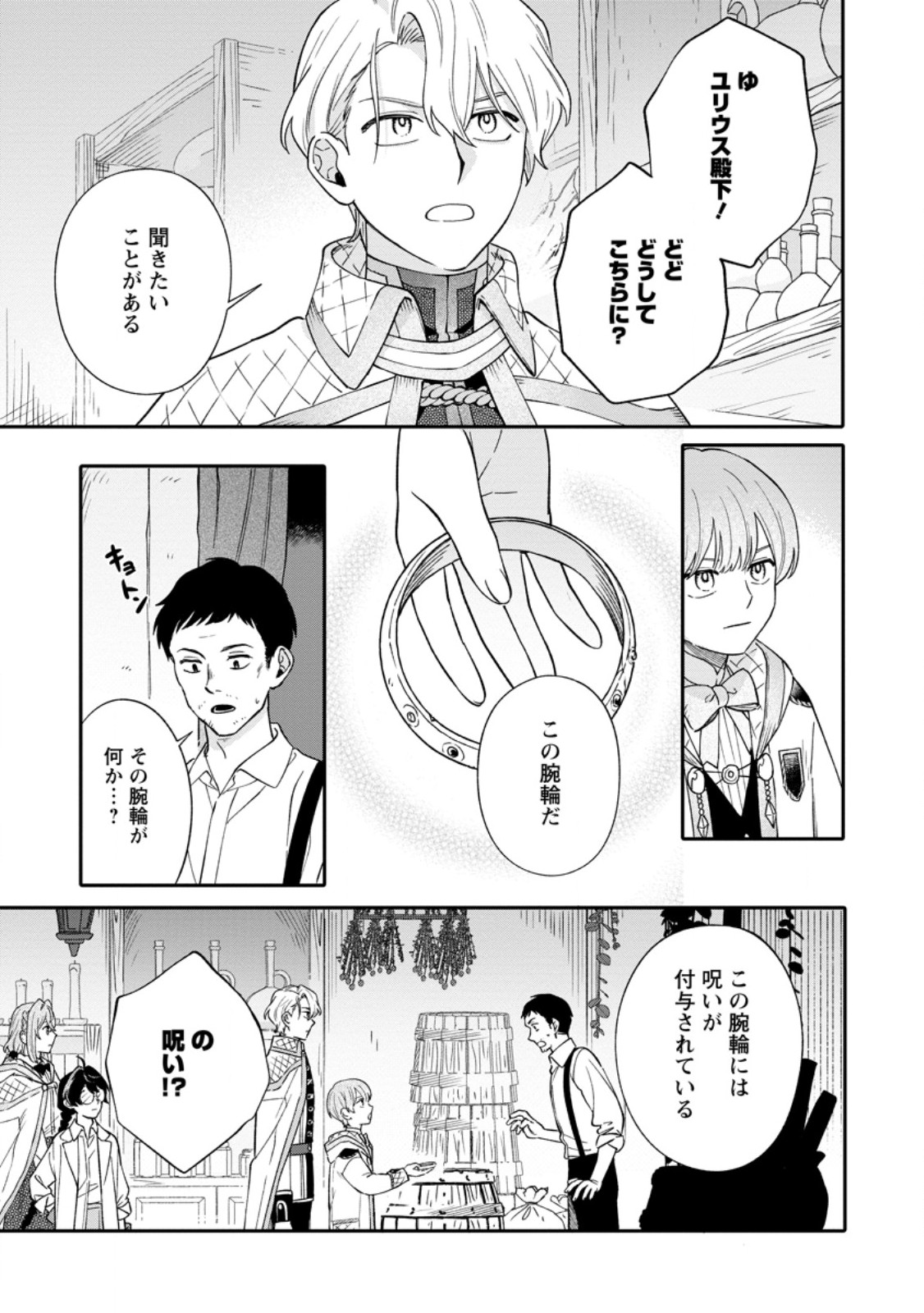 Mujikaku na Tensai Madougushi wa Nonbiri Kurashitai Chapter 33.3 6ページ