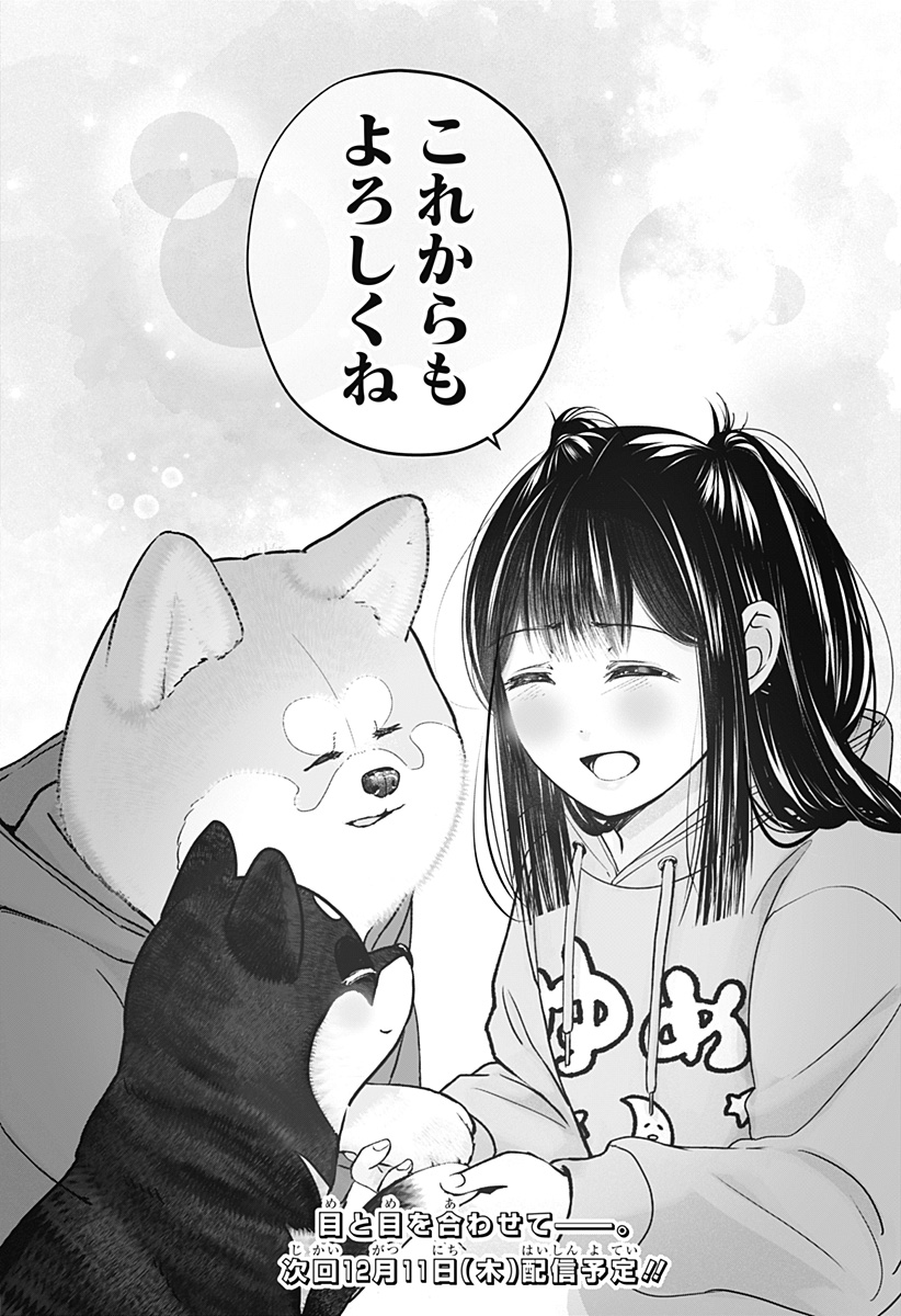 Shiba-Tsuki Bukken Chapter 40 33ページ