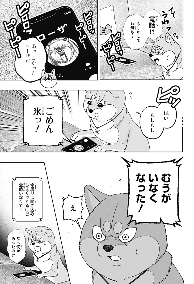 Shiba-Tsuki Bukken Chapter 44 29ページ