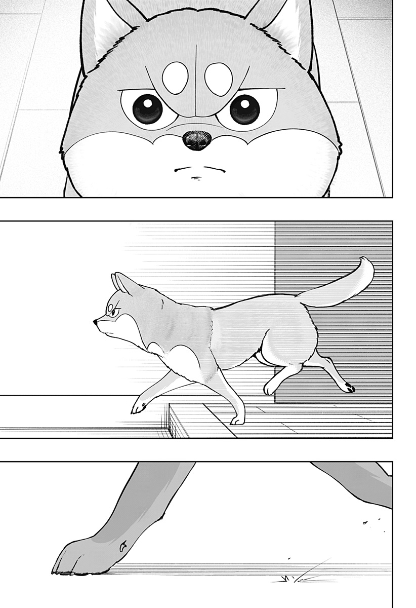 Shiba-Tsuki Bukken Chapter 44 33ページ