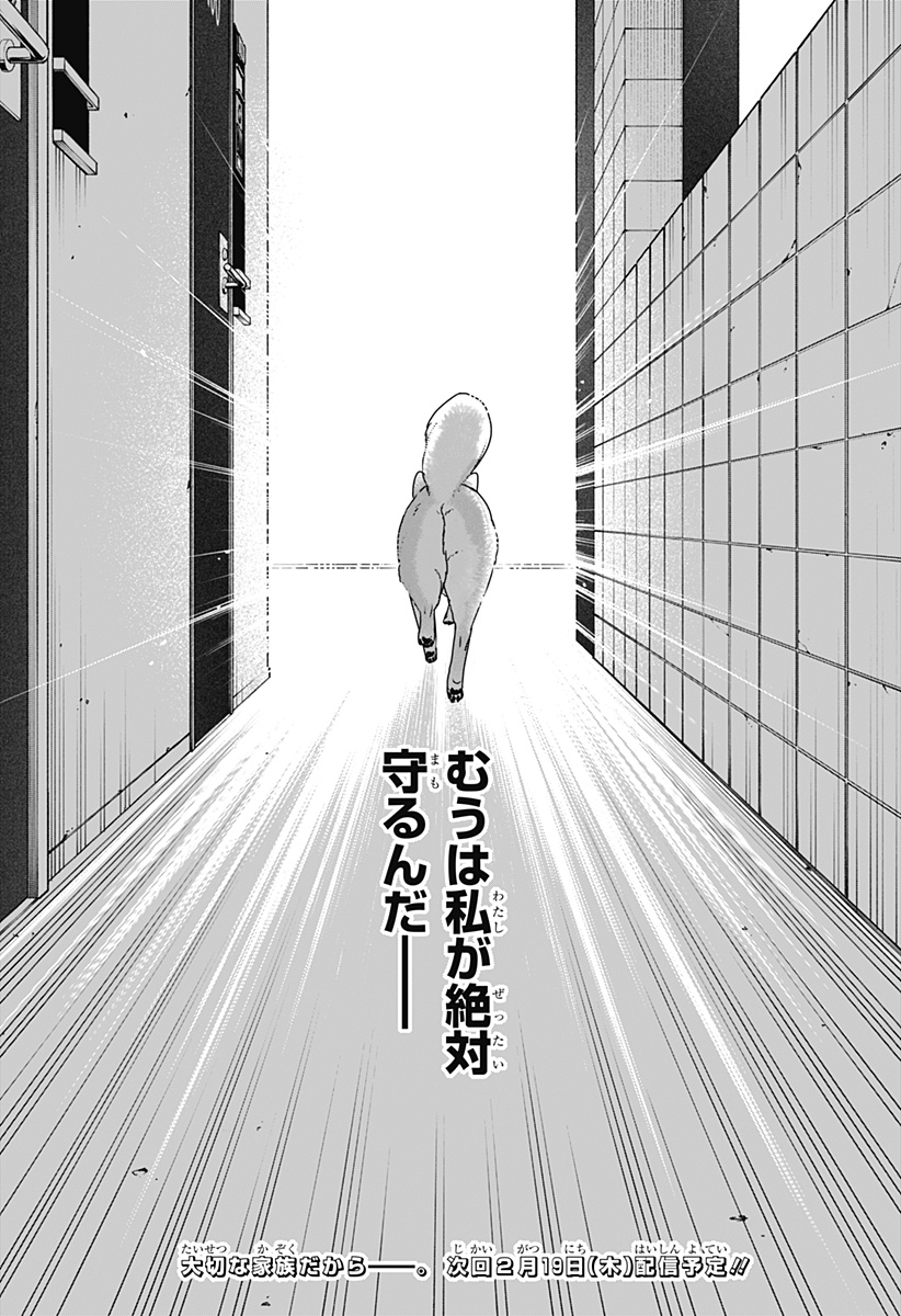 Shiba-Tsuki Bukken Chapter 44 35ページ