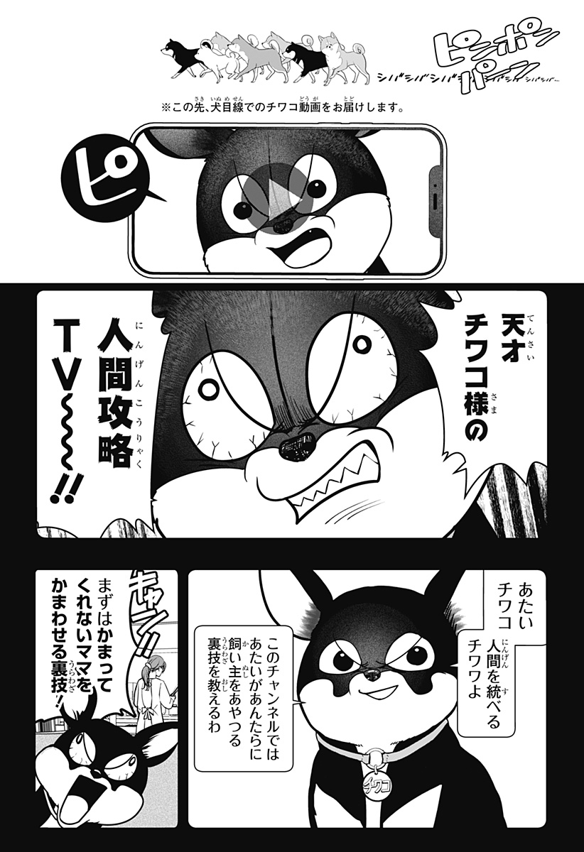 Shiba-Tsuki Bukken Chapter 52 16ページ