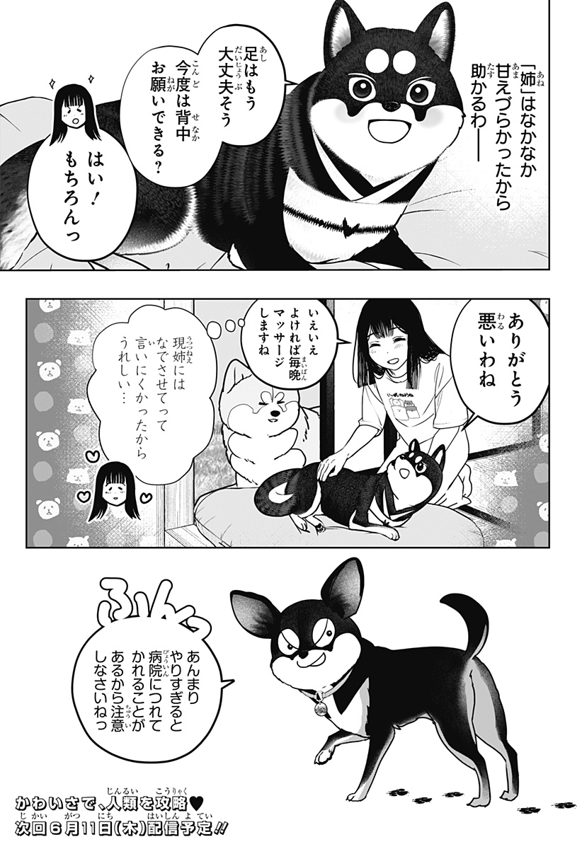 Shiba-Tsuki Bukken Chapter 52 25ページ