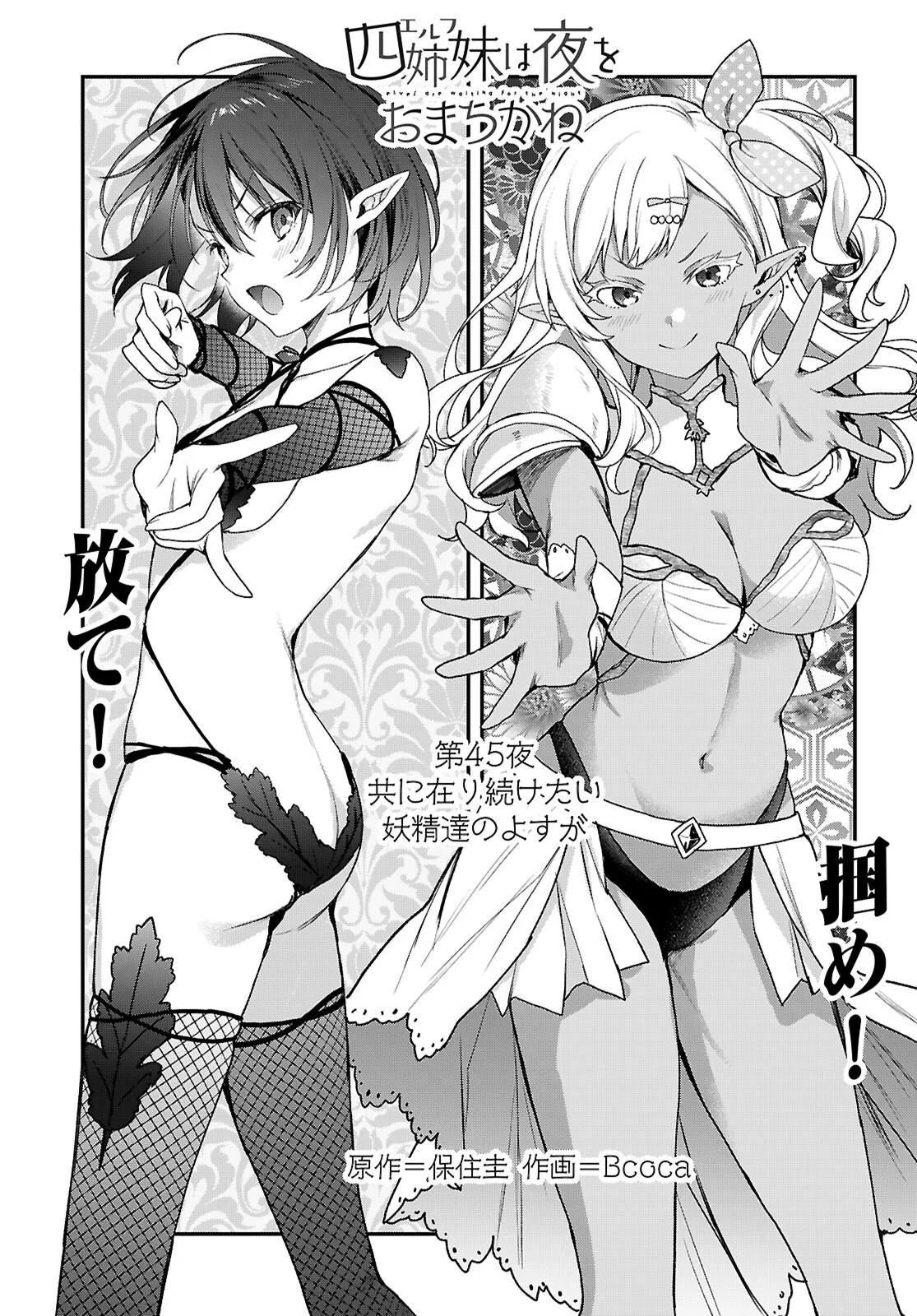 Elves wa Yoru o Omachikane Chapter 45 1ページ