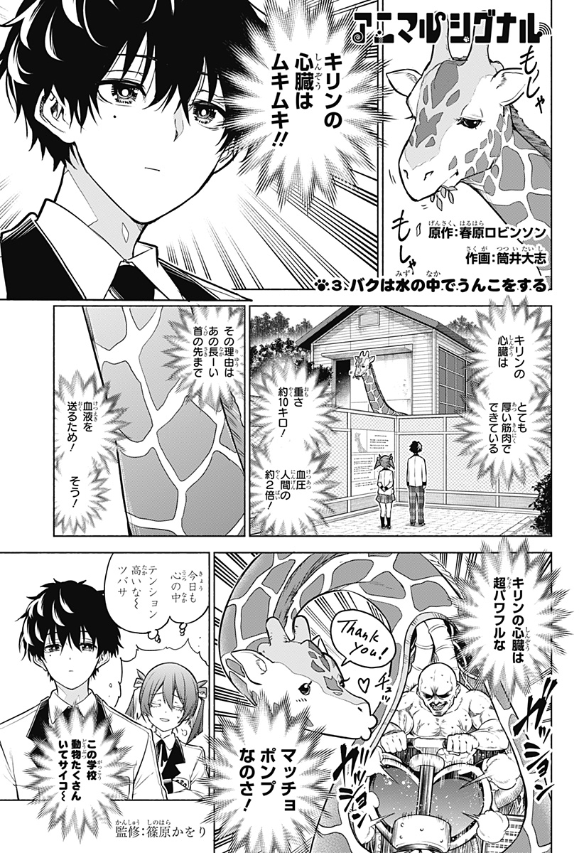 Animal Signal Chapter 3 1ページ