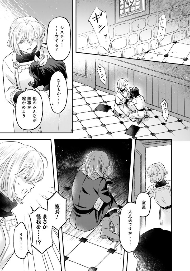 Zense Seijo datta Watashi wa Kusushi ni narimashita Chapter 27.1 3ページ