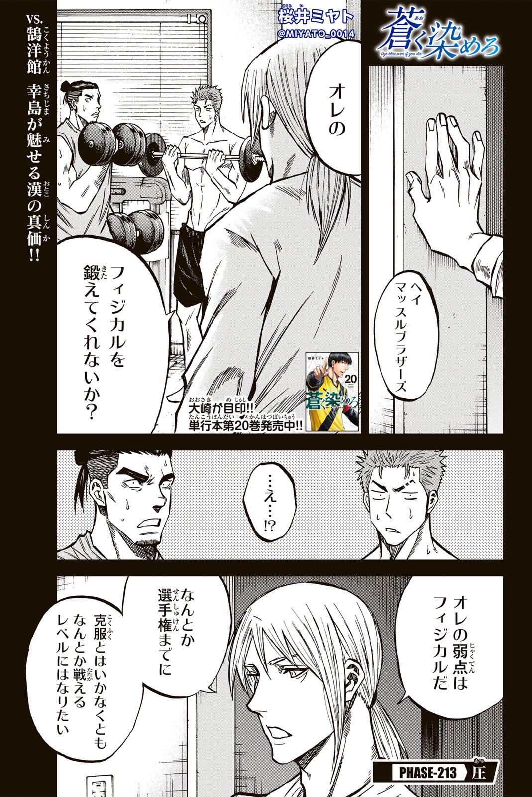 Aoku Somero Chapter 213 1ページ
