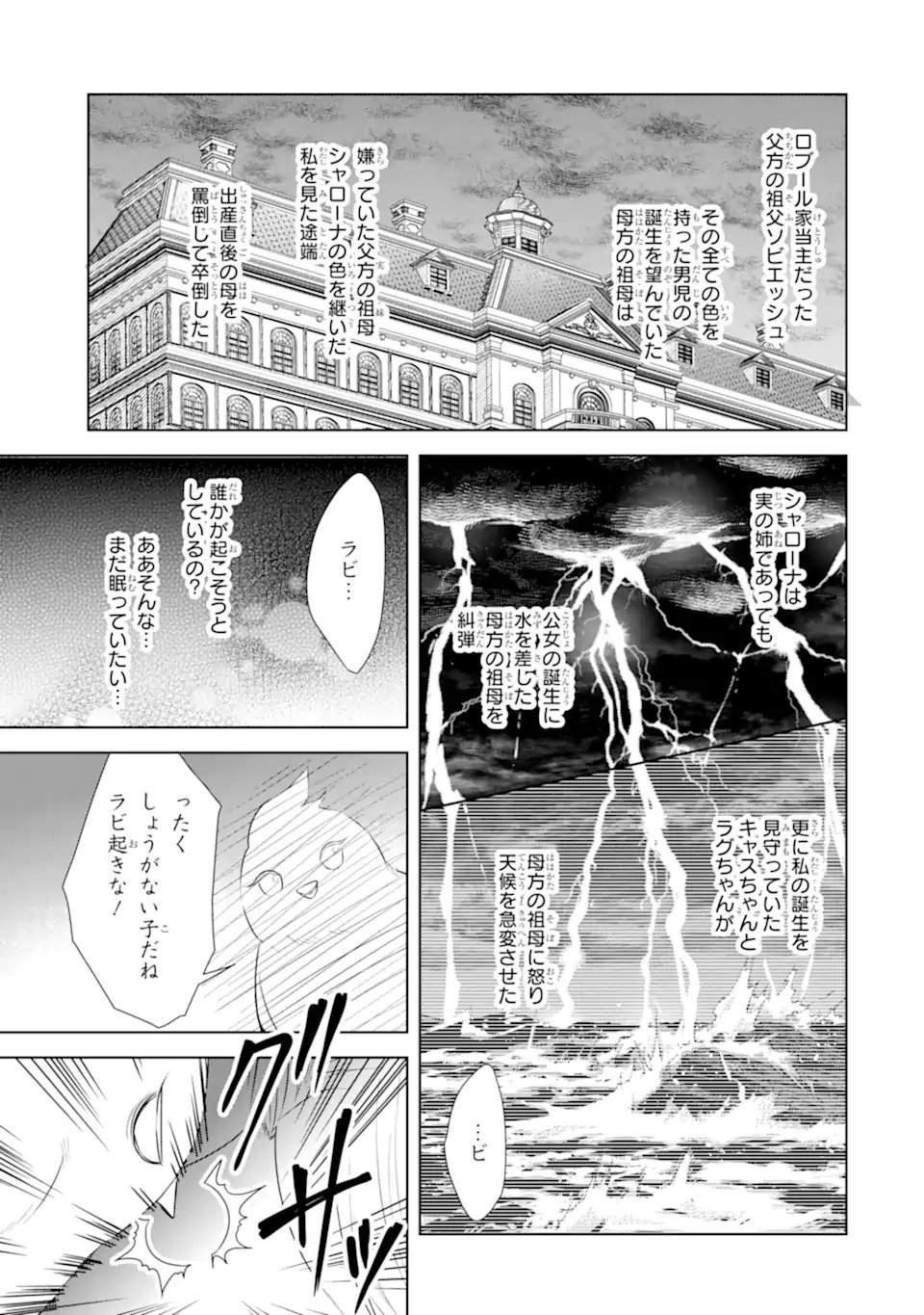 Kitai no Akujo, Sandome no Jinsei de "Musai Munou" wo Tanoshimu Chapter 23.1 9ページ