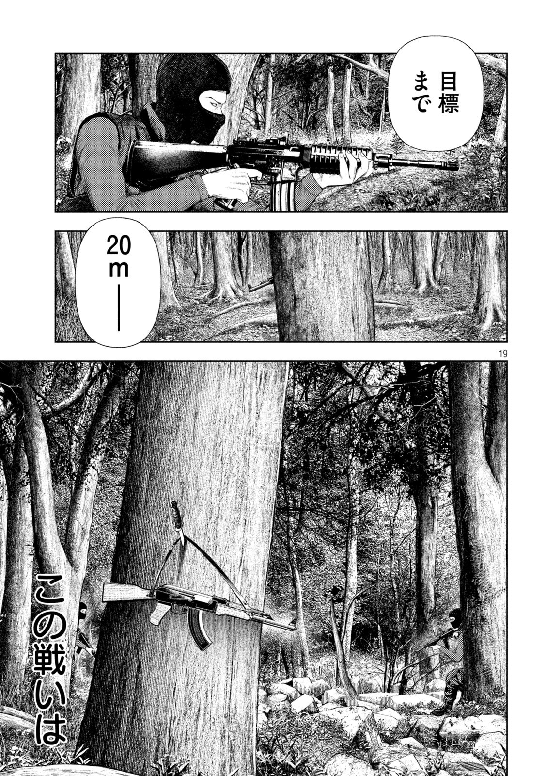Amateur Vigilante Chapter 79 19ページ