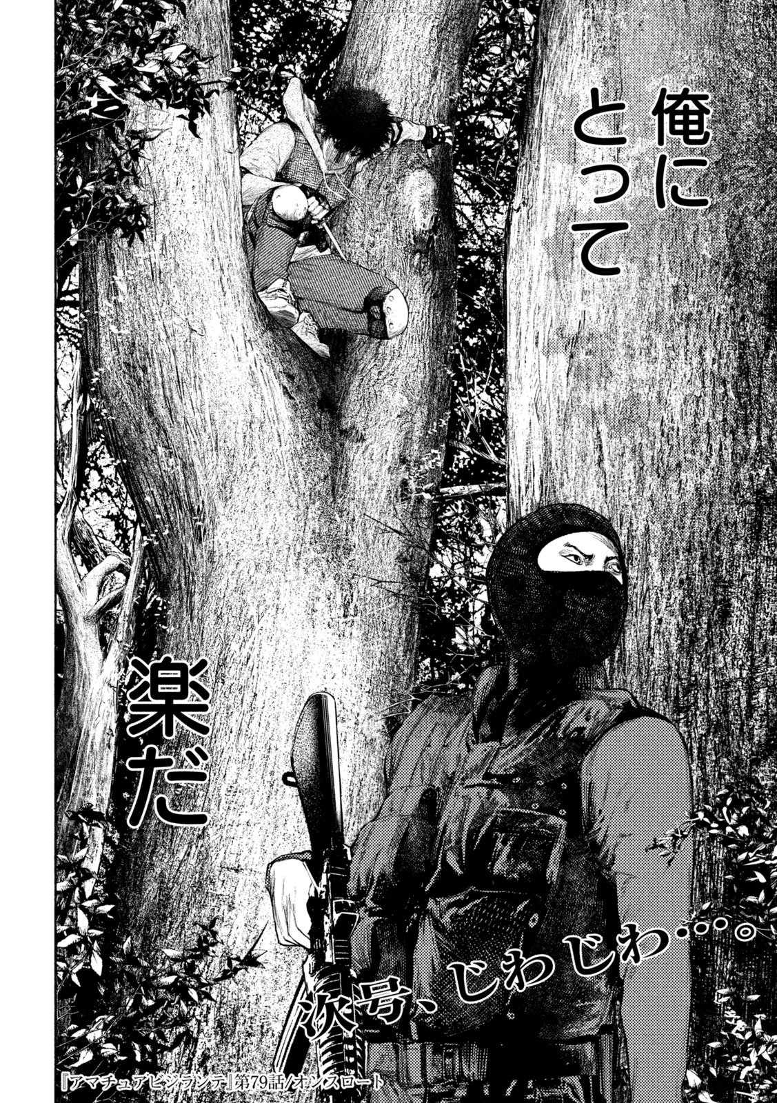 Amateur Vigilante Chapter 79 20ページ