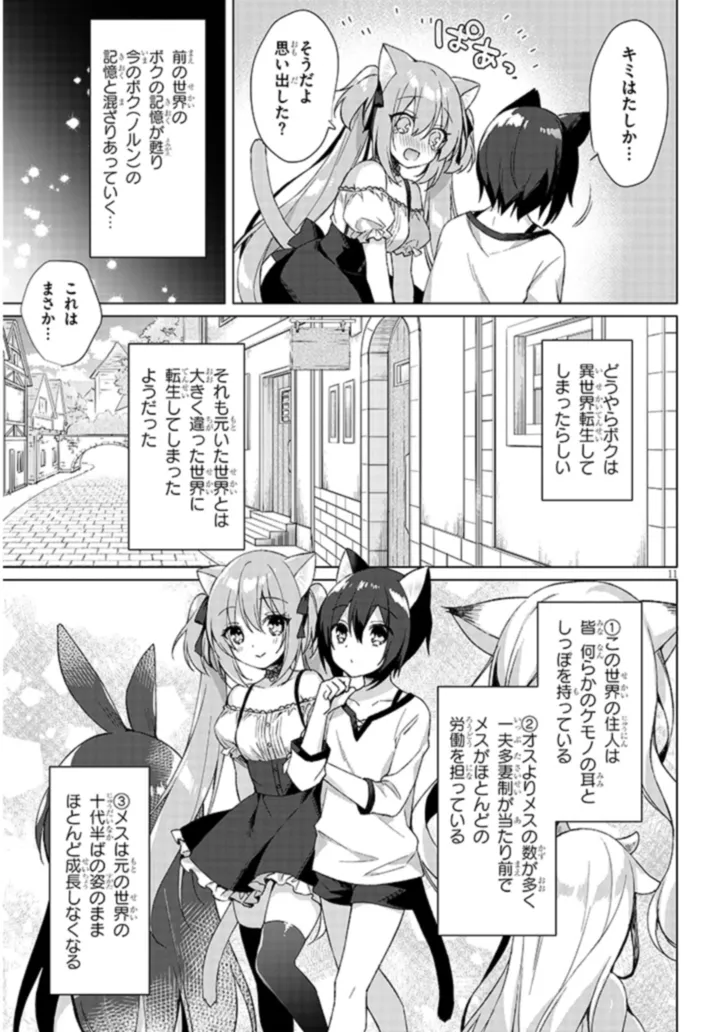 Boku no Risou no Isekai Seikatsu - Tensei shitara Kemomimi Musume Darake no Sekai de Harem ni Chapter 1 11ページ